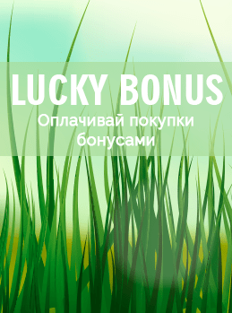 изображение Lucky Bonus