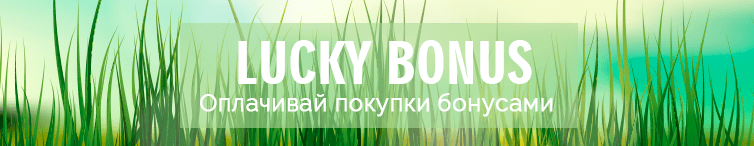 изображение Стань участником Lucky Bonus