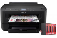 изображение Epson WF-7210